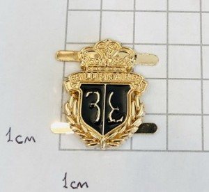 Украшение для обуви. Золото + черная эмаль